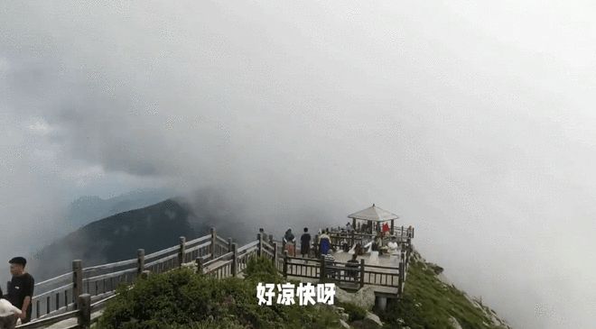 抓住暑假，带孩子来太白山放放风吧！
