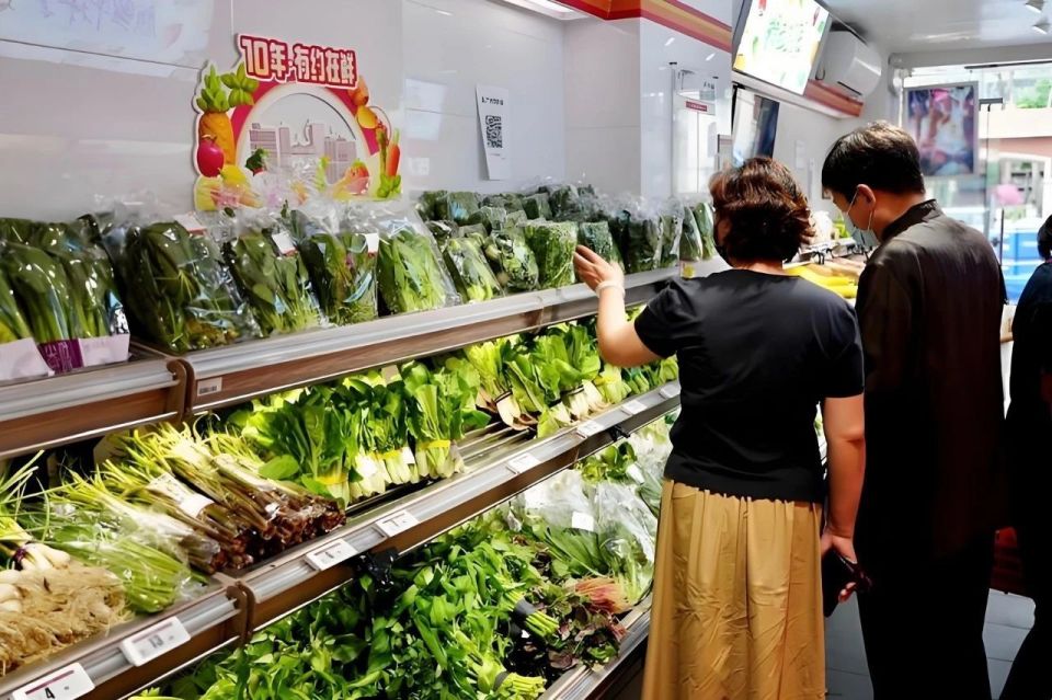一个失业青年的100亩田：他想种出不打农药的蔬菜，却被现实打了脸