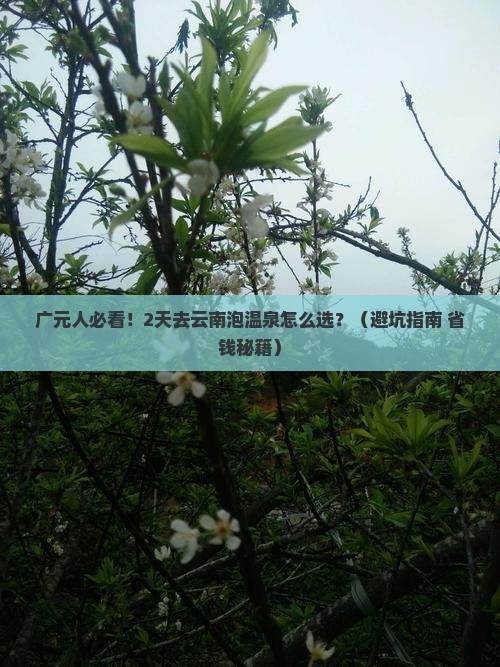 广元去云南温泉二日游