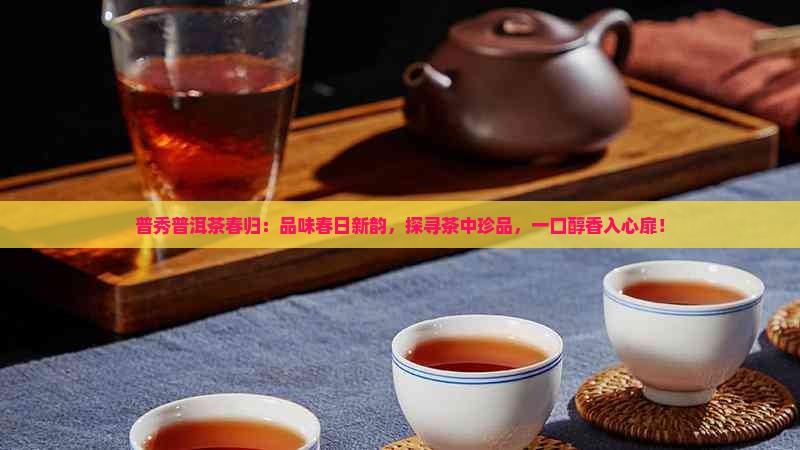 普秀普洱茶春归