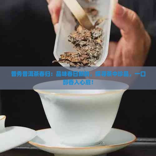 普秀普洱茶春归