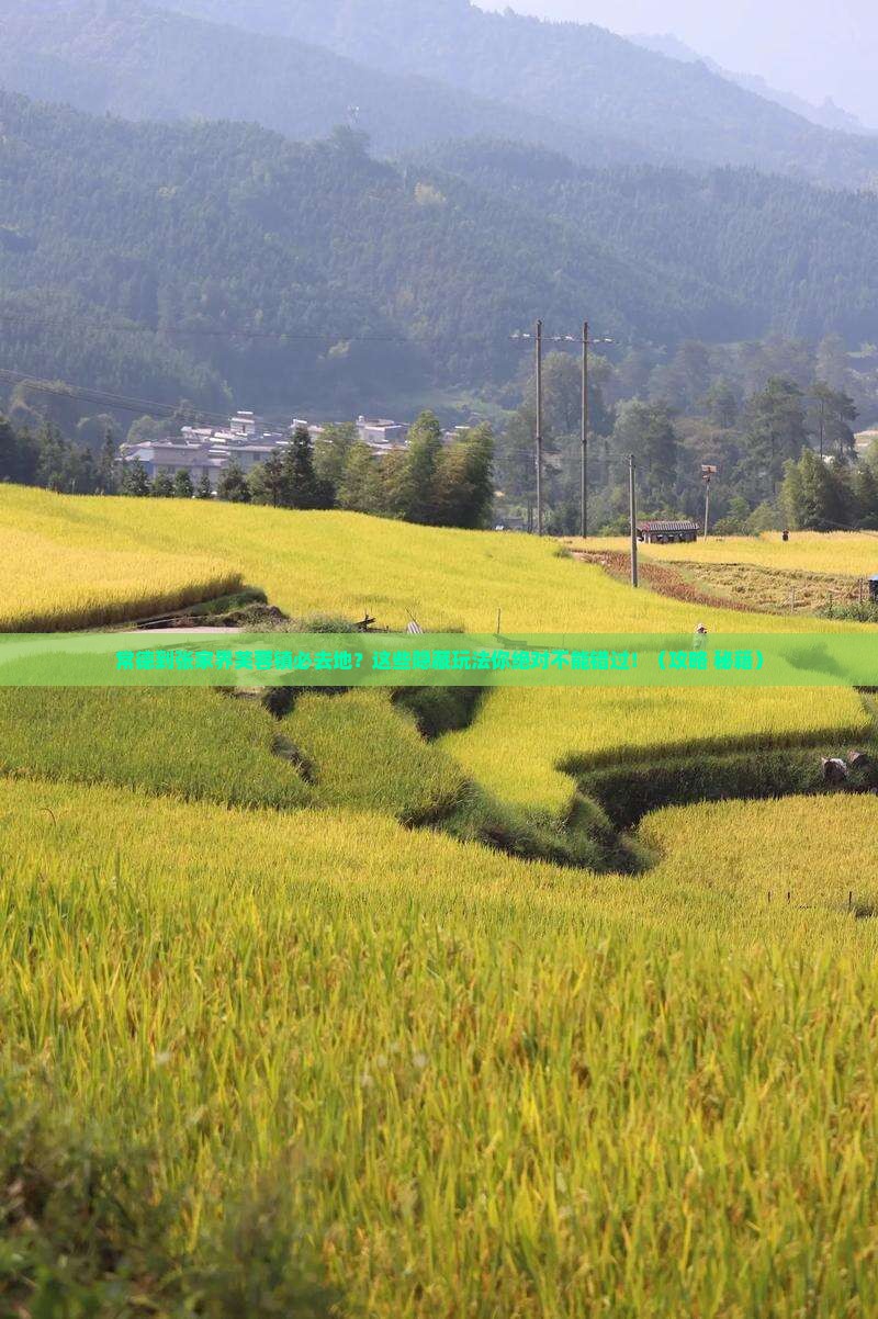 常德到张家界芙蓉镇必去地