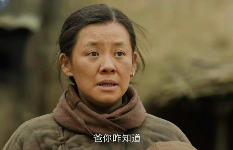 仅播3集，收视直逼第一，老戏骨演技惊艳四座！