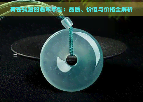 有苍蝇翅的翡翠手镯：品质、价值与价格全解析