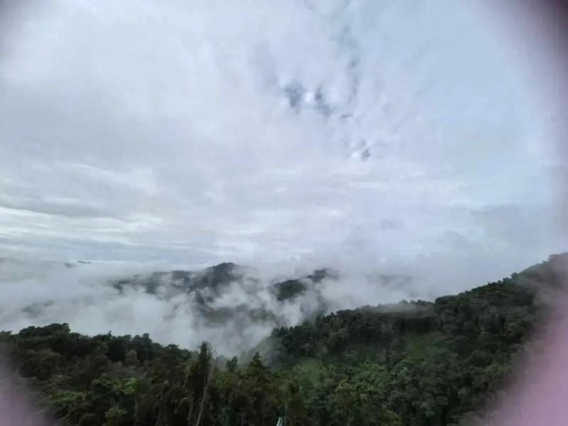 富豪榜上的保险图谱:鄂商、浙商与潮汕系