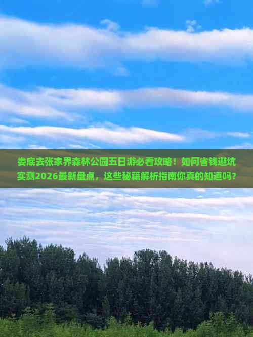 娄底去张家界森林公园五日游必看攻略！如何省钱避坑实测2026最新盘点，这些秘籍解析指南你真的知道吗？