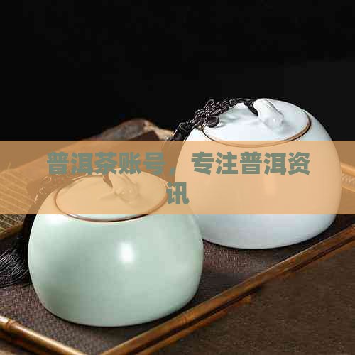 普洱茶官方账号