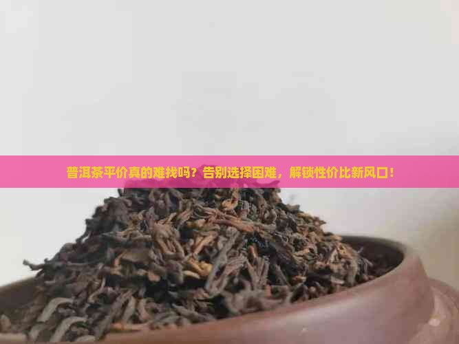 普洱茶平价真的难找吗？告别选择困难，解锁性价比新风口！